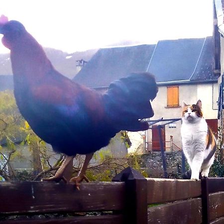 Chambres D'Hotes Les Chatougoulis Les Bordes-sur-Lez Zewnętrze zdjęcie
