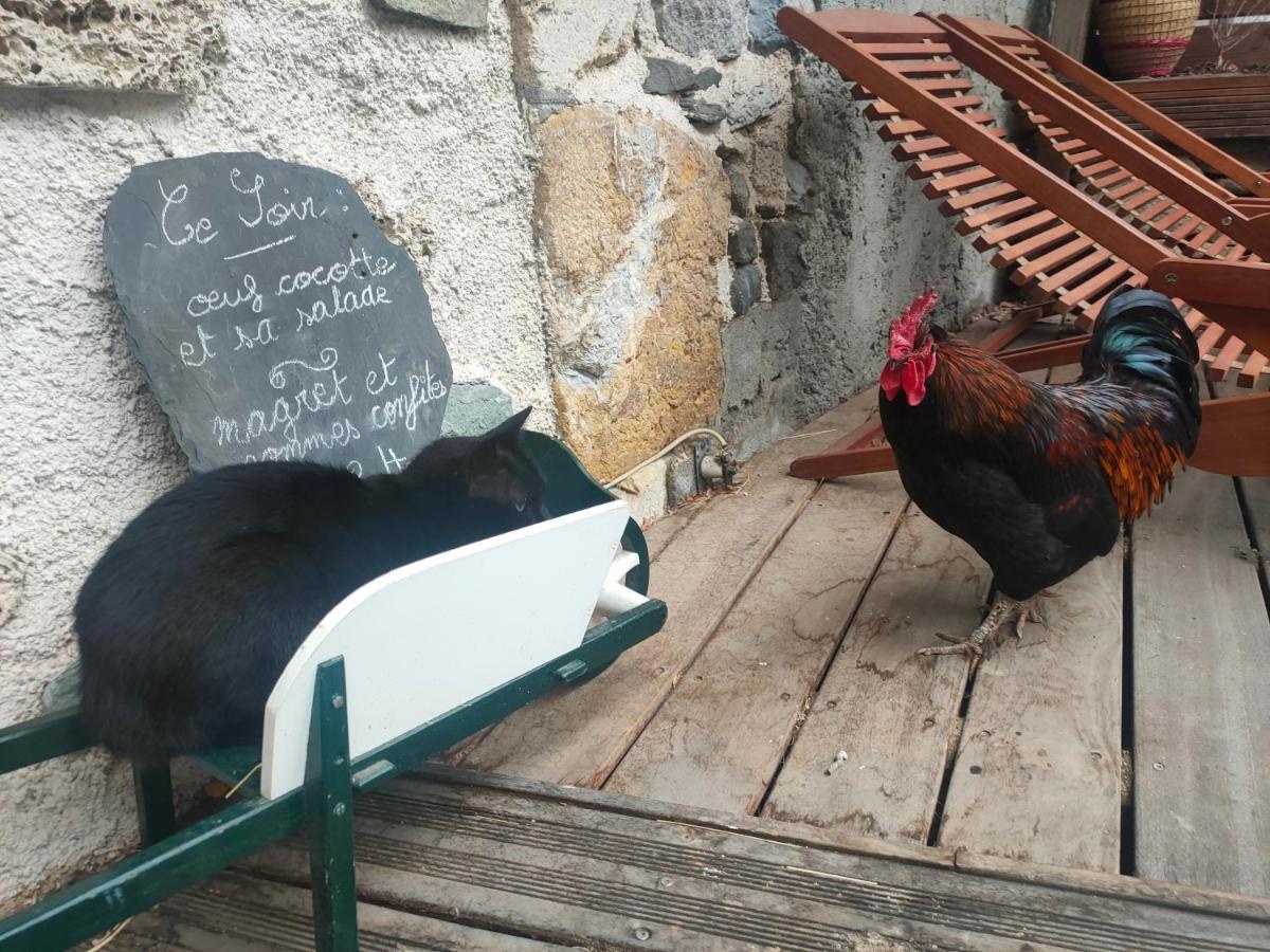Chambres D'Hotes Les Chatougoulis Les Bordes-sur-Lez Zewnętrze zdjęcie